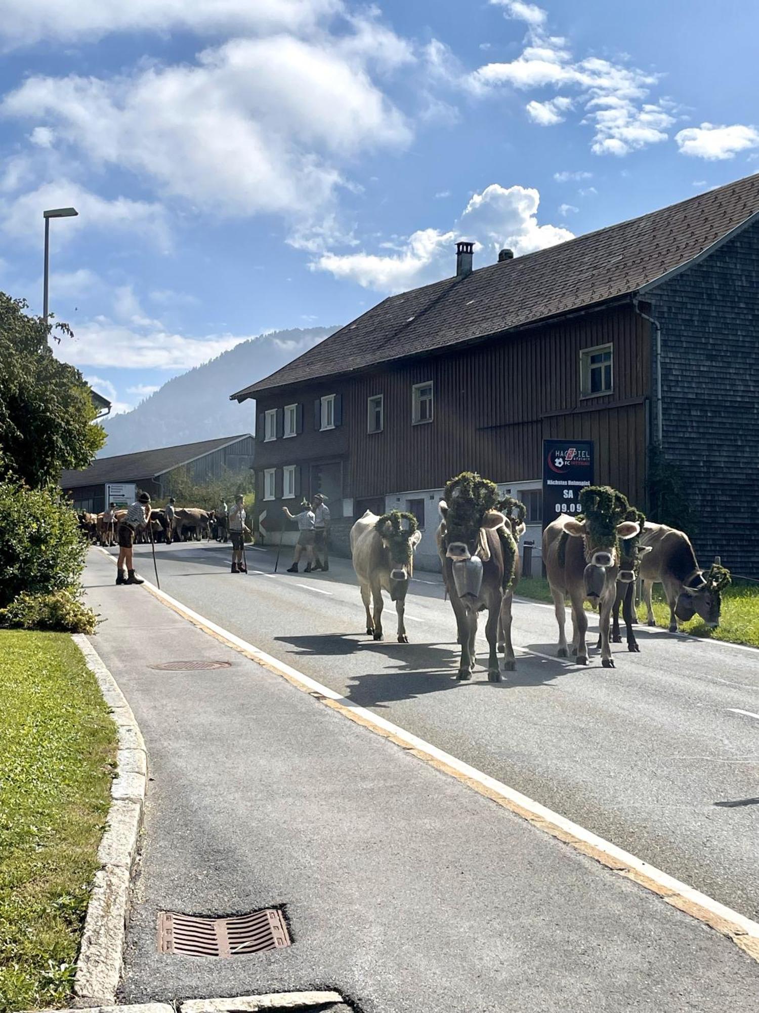 Zu Gast Bei Den Hagspiels Apartment Hittisau Exterior photo